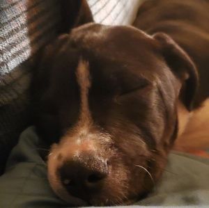 Meet your Posher, Travis